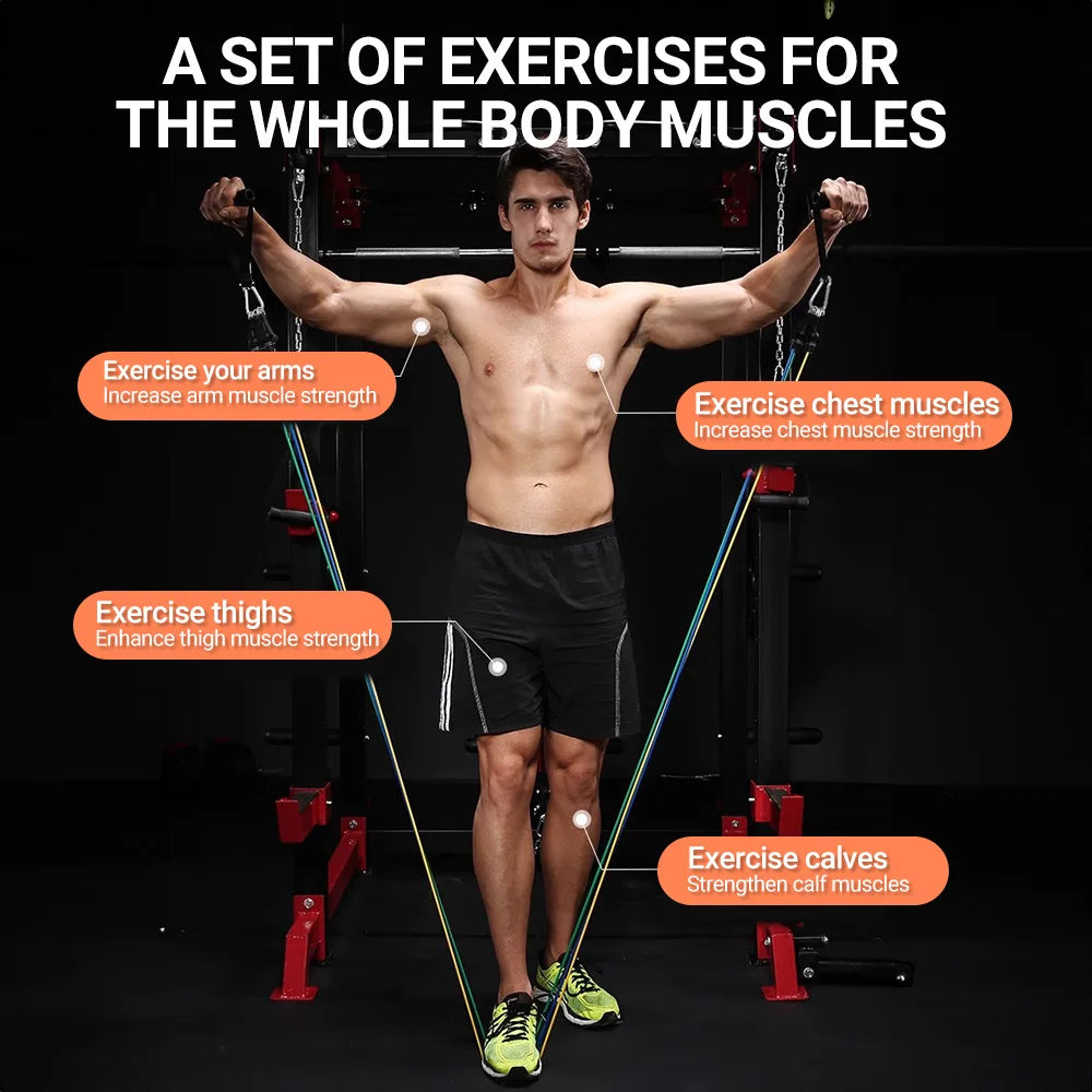 Body Building, Strength Training Resistance Bands